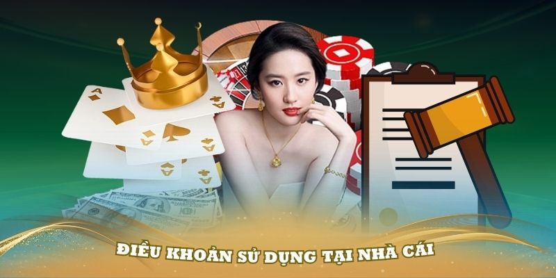 Điều khoản sử dụng nhà cái Fi88